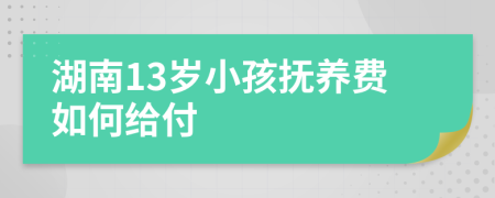 湖南13岁小孩抚养费如何给付