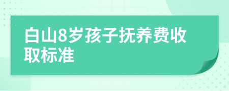 白山8岁孩子抚养费收取标准