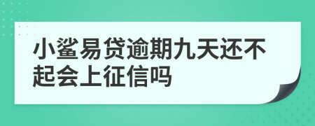 小鲨易贷逾期九天还不起会上征信吗