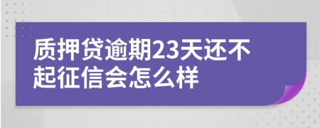 质押贷逾期23天还不起征信会怎么样