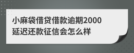 小麻袋借贷借款逾期2000延迟还款征信会怎么样