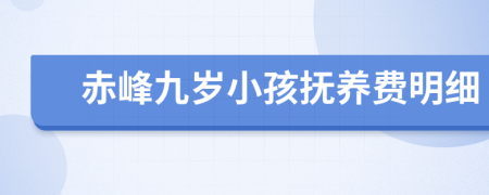 赤峰九岁小孩抚养费明细