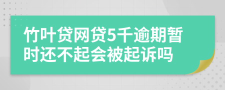 竹叶贷网贷5千逾期暂时还不起会被起诉吗