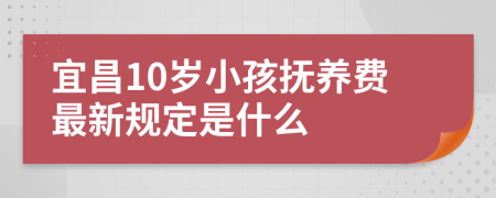 宜昌10岁小孩抚养费最新规定是什么