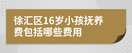 徐汇区16岁小孩抚养费包括哪些费用