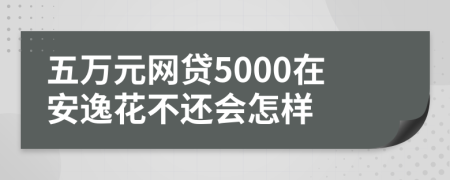 五万元网贷5000在安逸花不还会怎样