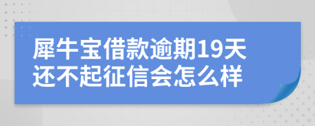 犀牛宝借款逾期19天还不起征信会怎么样