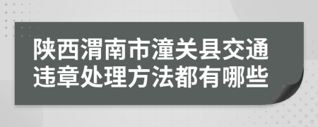 陕西渭南市潼关县交通违章处理方法都有哪些