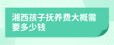 湘西孩子抚养费大概需要多少钱