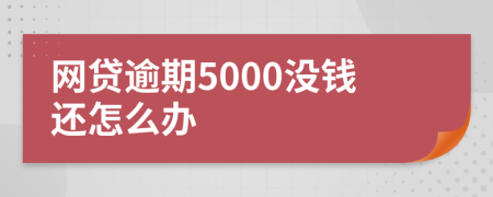 网贷逾期5000没钱还怎么办