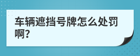 车辆遮挡号牌怎么处罚啊？