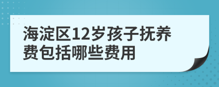 海淀区12岁孩子抚养费包括哪些费用