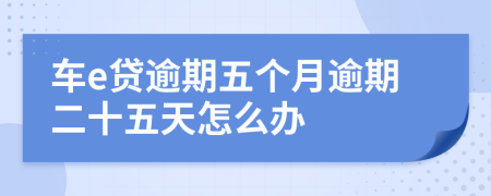 车e贷逾期五个月逾期二十五天怎么办