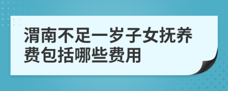 渭南不足一岁子女抚养费包括哪些费用