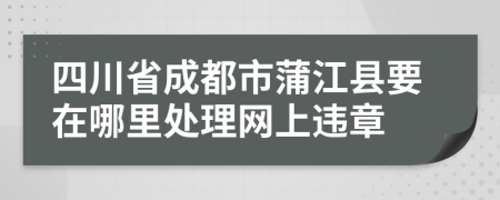 四川省成都市蒲江县要在哪里处理网上违章