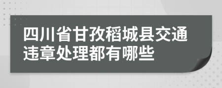 四川省甘孜稻城县交通违章处理都有哪些