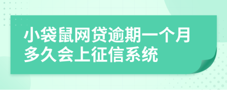 小袋鼠网贷逾期一个月多久会上征信系统