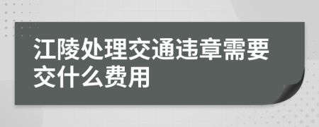 江陵处理交通违章需要交什么费用