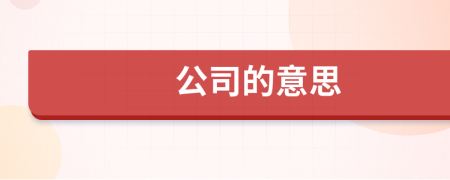 公司的意思