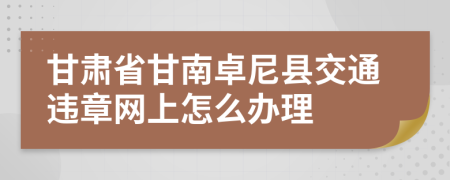 甘肃省甘南卓尼县交通违章网上怎么办理