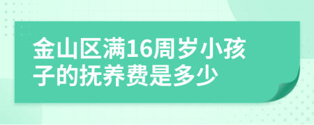 金山区满16周岁小孩子的抚养费是多少