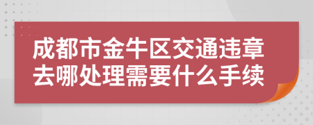 成都市金牛区交通违章去哪处理需要什么手续