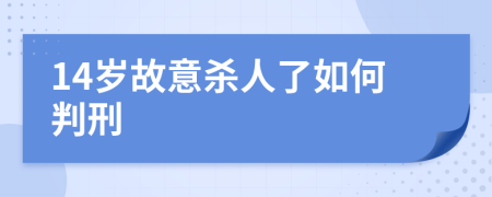 14岁故意杀人了如何判刑