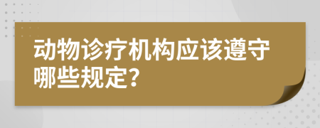 动物诊疗机构应该遵守哪些规定？