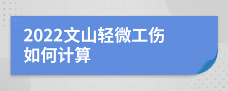 2022文山轻微工伤如何计算