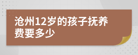 沧州12岁的孩子抚养费要多少