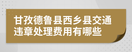 甘孜德鲁县西乡县交通违章处理费用有哪些