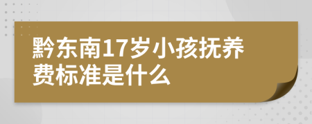 黔东南17岁小孩抚养费标准是什么