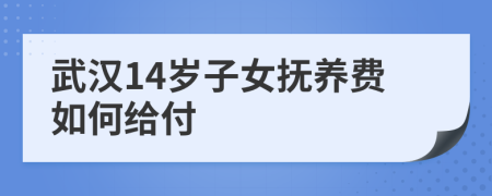 武汉14岁子女抚养费如何给付