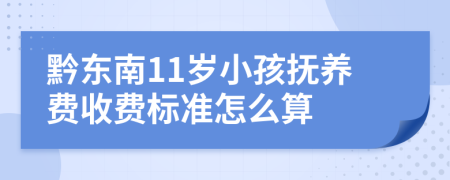 黔东南11岁小孩抚养费收费标准怎么算