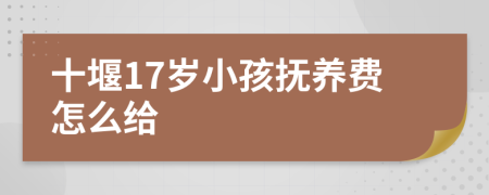 十堰17岁小孩抚养费怎么给