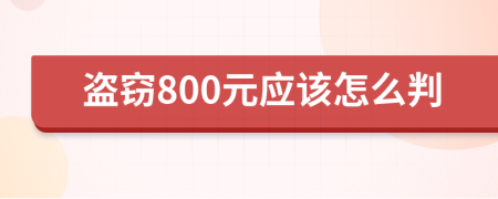 盗窃800元应该怎么判