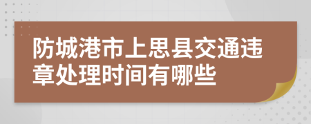 防城港市上思县交通违章处理时间有哪些