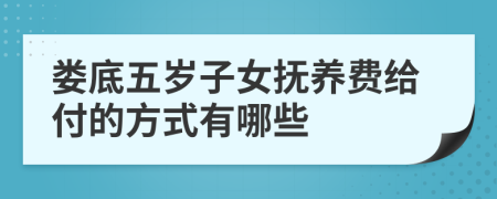 娄底五岁子女抚养费给付的方式有哪些