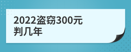 2022盗窃300元判几年