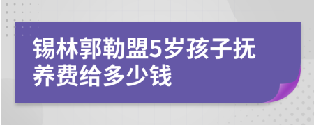 锡林郭勒盟5岁孩子抚养费给多少钱