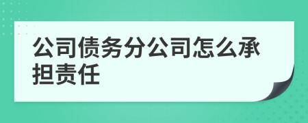 公司债务分公司怎么承担责任