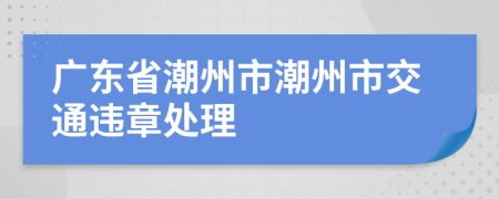 广东省潮州市潮州市交通违章处理