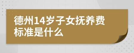 德州14岁子女抚养费标准是什么