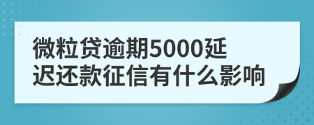 微粒贷逾期5000延迟还款征信有什么影响