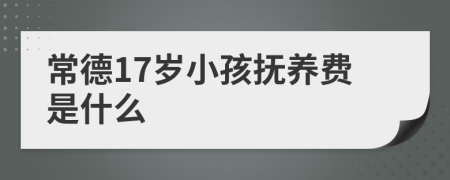 常德17岁小孩抚养费是什么