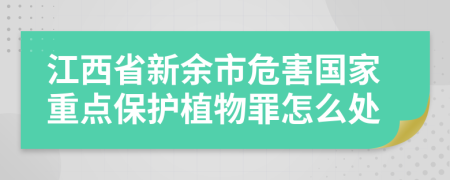 江西省新余市危害国家重点保护植物罪怎么处