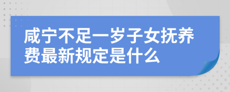 咸宁不足一岁子女抚养费最新规定是什么