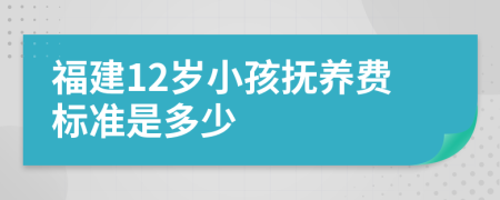 福建12岁小孩抚养费标准是多少