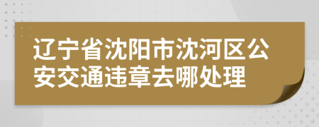 辽宁省沈阳市沈河区公安交通违章去哪处理