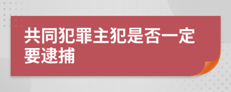 共同犯罪主犯是否一定要逮捕